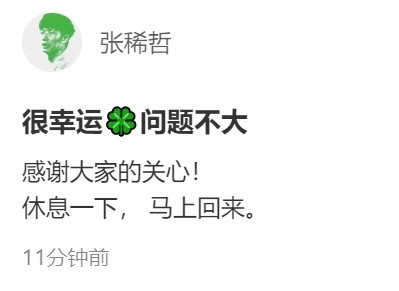 张稀哲无对抗扭伤退场 社媒报平安：问题不大，马上回来